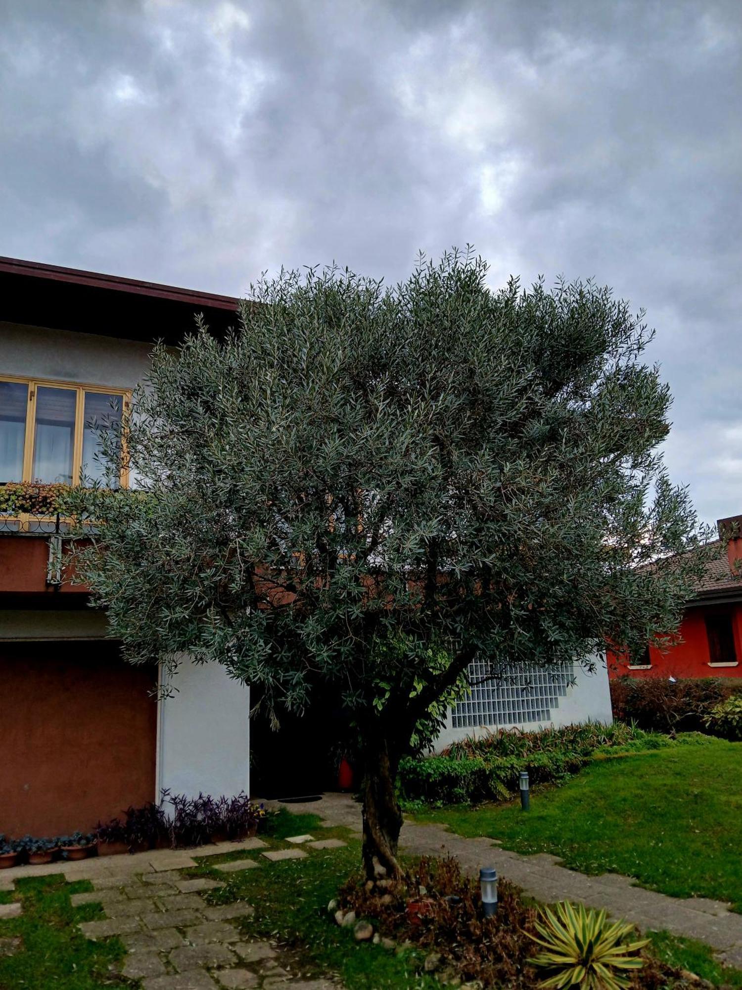 B&B Ponte Marchese Caldogno Bagian luar foto