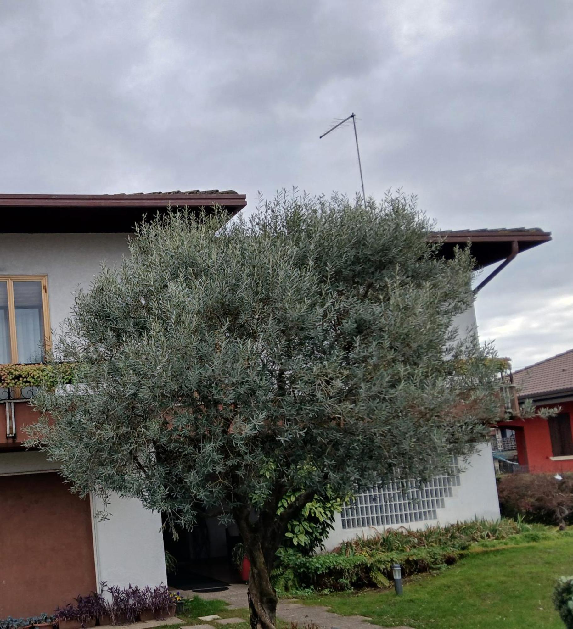B&B Ponte Marchese Caldogno Bagian luar foto